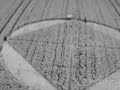 How to make a crop circle