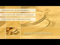 Proyecto Aquaponia