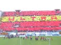 Messina Reggina 2-1 serie A coreografia
