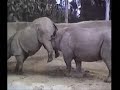 Talk With The Animals