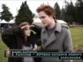 Сумерки / Twilight (с русскими субтитрами)