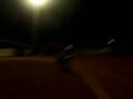 videos de Course de cadie