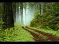 videos de Peace And Serenity For Everyone