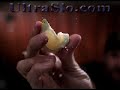 UltraSlo motion magic. Orange