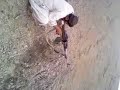 ewaz firing ewaz firing