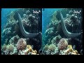 Diving at ElQuseir in 3D
