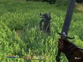 Oblivion Wolf Dance Oblivion Wolf Dance