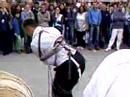 samya salimos (magico de rua)