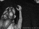 Strange Creature Strange Creature