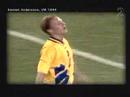 Classic Swedish Soccergoals