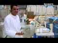 Cascos Schuberth Discovery completo