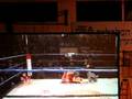videos de Sharon zuri -Ashqelon-DogFight 2008