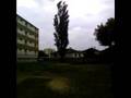 Arbre