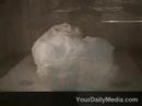 Soap in Microwave