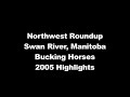 Swan River Northwest Roundup Bucking Horses