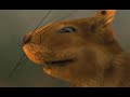 Кури арЭхи и стань бЭлкойwww.belo4koff.net
