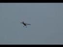Cub landing