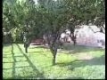 Lidoparadisocilento