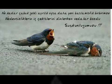 Sıbel