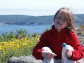 Newfoundland Visit by Craig Cutler