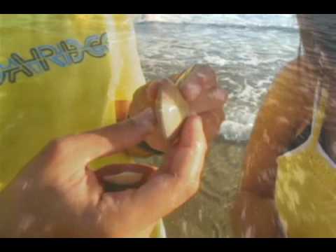 how to collect shells