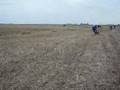 videos de Kreidler cross Grasbaan