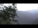 200806 南橫毛地黃 19 人 18 台車
