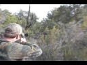 2008 Arizona unit 12-B west early rifle deer (November 1)