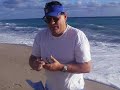 shark tagging shark tagging