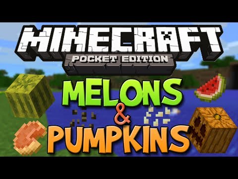 how to harvest food in minecraft pe
