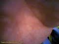 testflight with multiplex cularis near arbon/switzerland. video taken by flycam2, with 2gb scan disc extreme iii card.
data recorded with unilog data recorder. video and data mixed using  virtualdub.