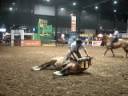 Campeon Castrado Nuestros Caballos 2008