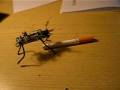 videos de Beam Vibrobot: Durex the vibrobot