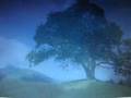 Music - My song with scenes from Microcosmos