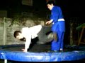 jiu jitsu leg trip