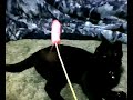 DVR-BP sample movie 1