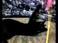 DVR-BP sample movie 1