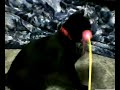 DVR-BP sample movie 1