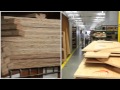 Bayliner Factory Tour
