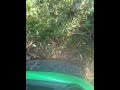 Ride-on Mower Burnout