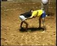 VIDEO RESUMEN CASTRO MORALES 9 - ROQUE NUBLO 12