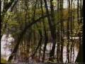 Żerkowsko - Czeszewski Park Krajobrazowy, cz.2.