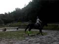 videos de Jumping Trinity- 8.8.08