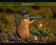 Mina bilder =)