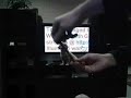 Dogs Love IRC