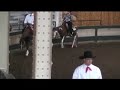Absoloot Jack - 2006 Gelding FOR SALE