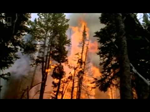 National Geographic: The Final Prophecy NIBIRU