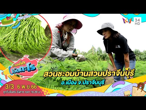สวนชะอมบ้านสวนปราจีนบุรี อ.เมือง จ.ปราจีนบุรี