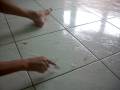 Aprenda a mágica do teletransporte das 4 moedas (Learn the magic of teleportation of the 4 coins)