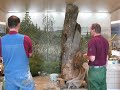 karhudioraamaa rakennetaan helsingin luonnontieteelliseen museon suomen luonto -n�yttelyyn kev��ll� 2008. seppo polameri tekee aluksi taustamaalauksen, jonka j�lkeen konservaattorit tuovat paikalle t�ytetyt karhut ja muut el�imet sek� viimeistelev�t dioraaman. rakentaminen kesti yhteens� noin kuukauden.

bear diorama is being built at the natural history museum in helsinki, finland. seppo polameri starts by painting the background. after that stuffed animals are installed and the diorama finished off. the video covers about one month.